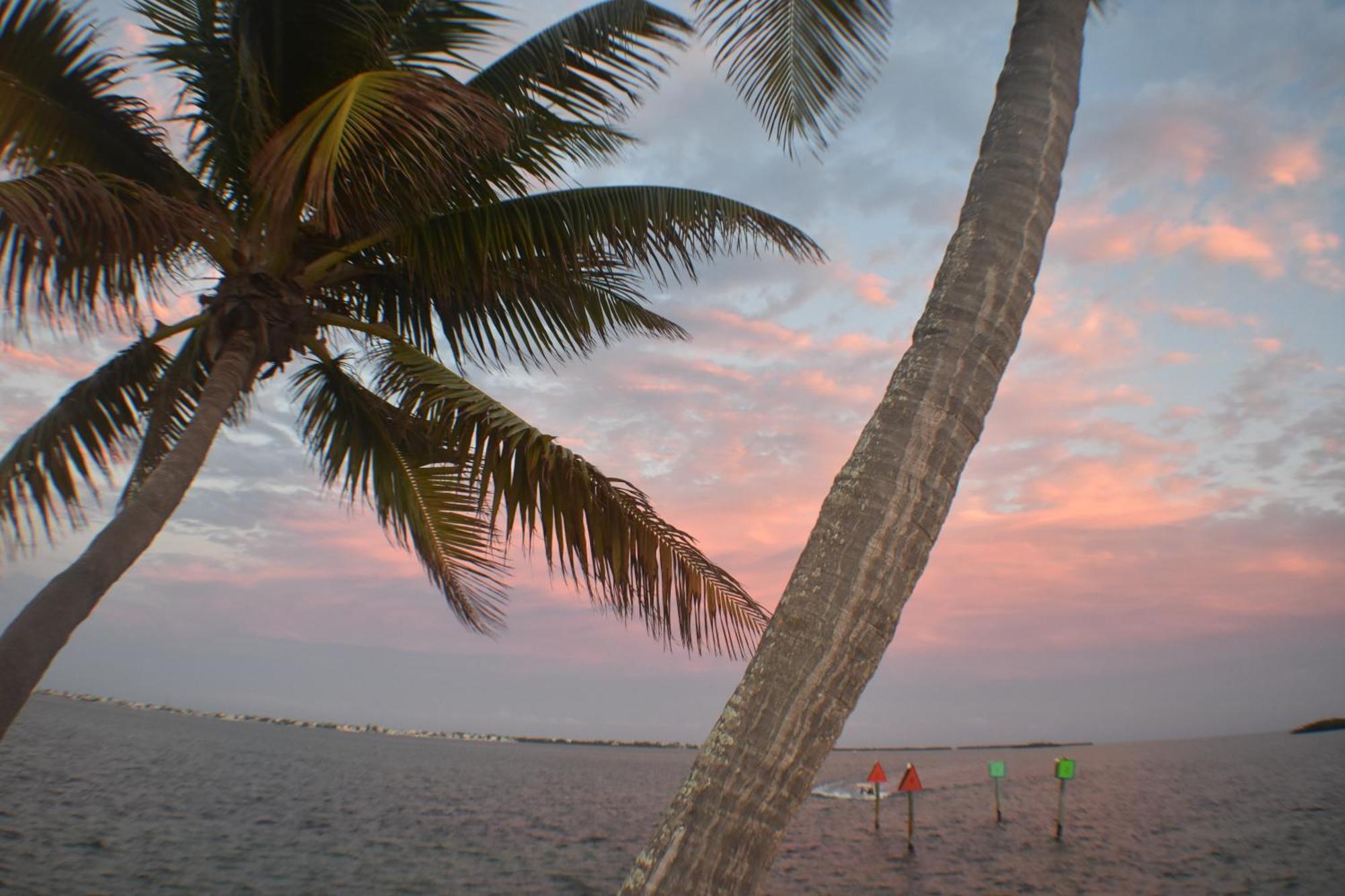 Pelican'S Roost, Waterfront Comfort At Venture Out Cudjoe Key 外观 照片
